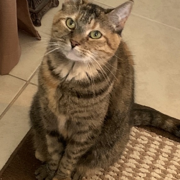 Meet your Posher, Kathy - Picture 1 of 1